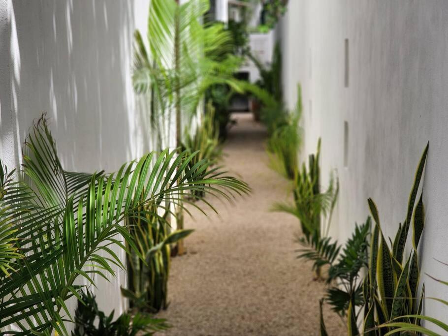 Amazing Jungle Retreat Lahkah Tulum Apartamento Exterior foto