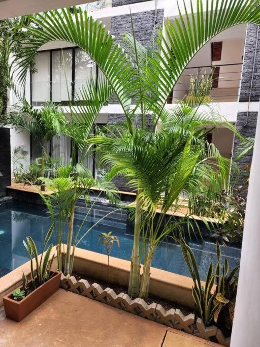 Amazing Jungle Retreat Lahkah Tulum Apartamento Exterior foto